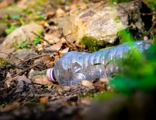 Bouteille en plastique vide jetée dans les feuilles de forêt.